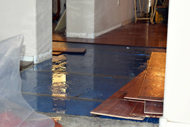 Professional Sewage Cleanup technician working in Colon, MI